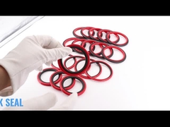 Schritt-Dichtungen SPGO Glyd Dichtungs-HBTS